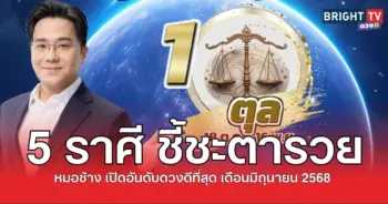 ช้าง5มิ