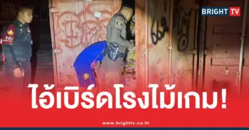 เบิร์ดโรงไม้แก๊งบุหรี่ไฟฟ้า