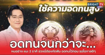 ช้างอดทน1