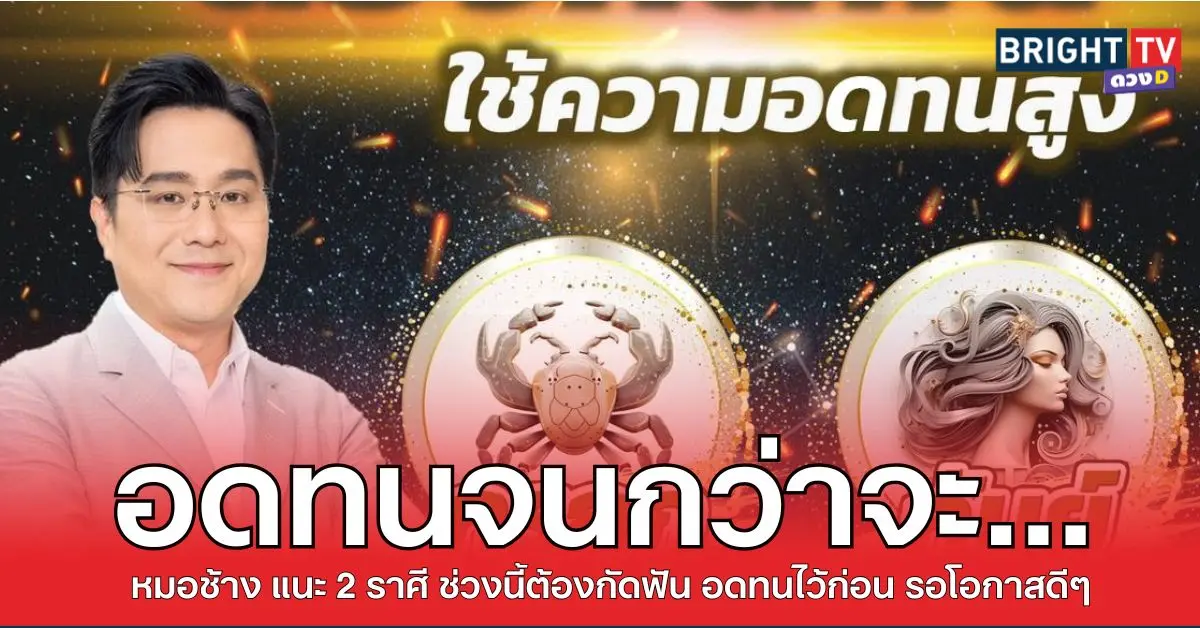 ช้างอดทน1