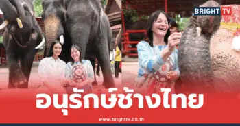 โอปอล สุชาตา