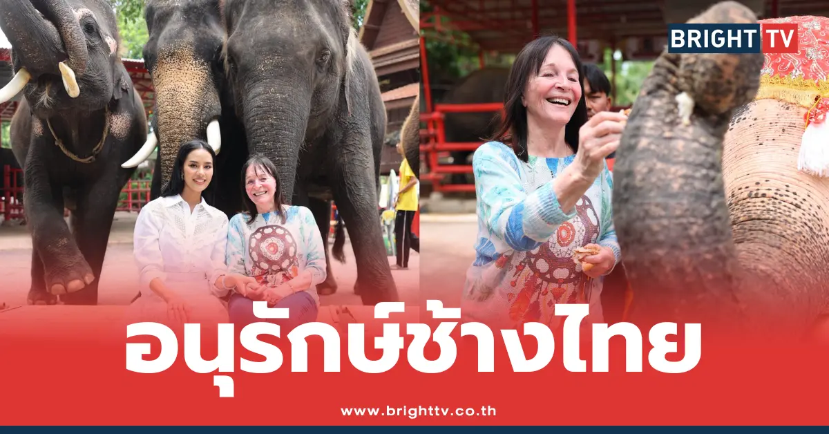โอปอล สุชาตา