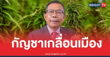 กัญชาศุภชัย