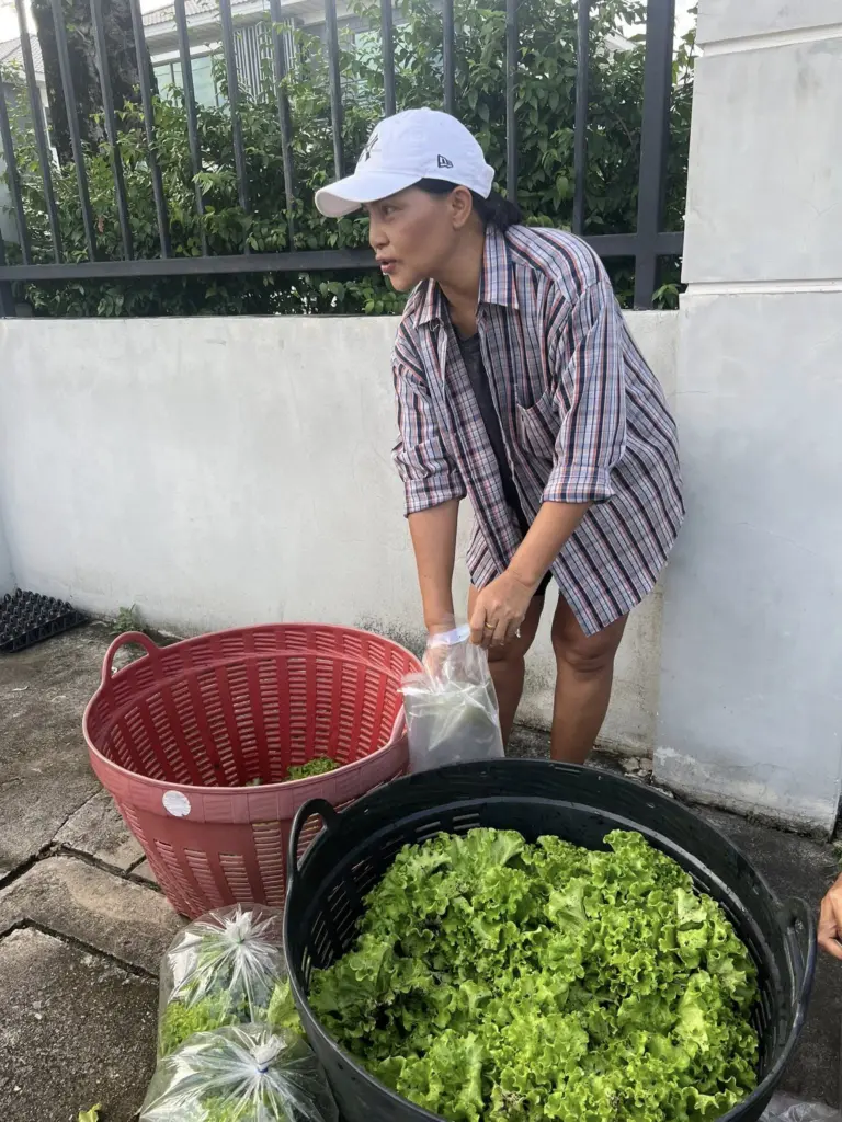 สุนารีขายผัก3