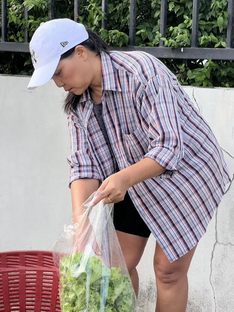 สุนารีขายผัก4