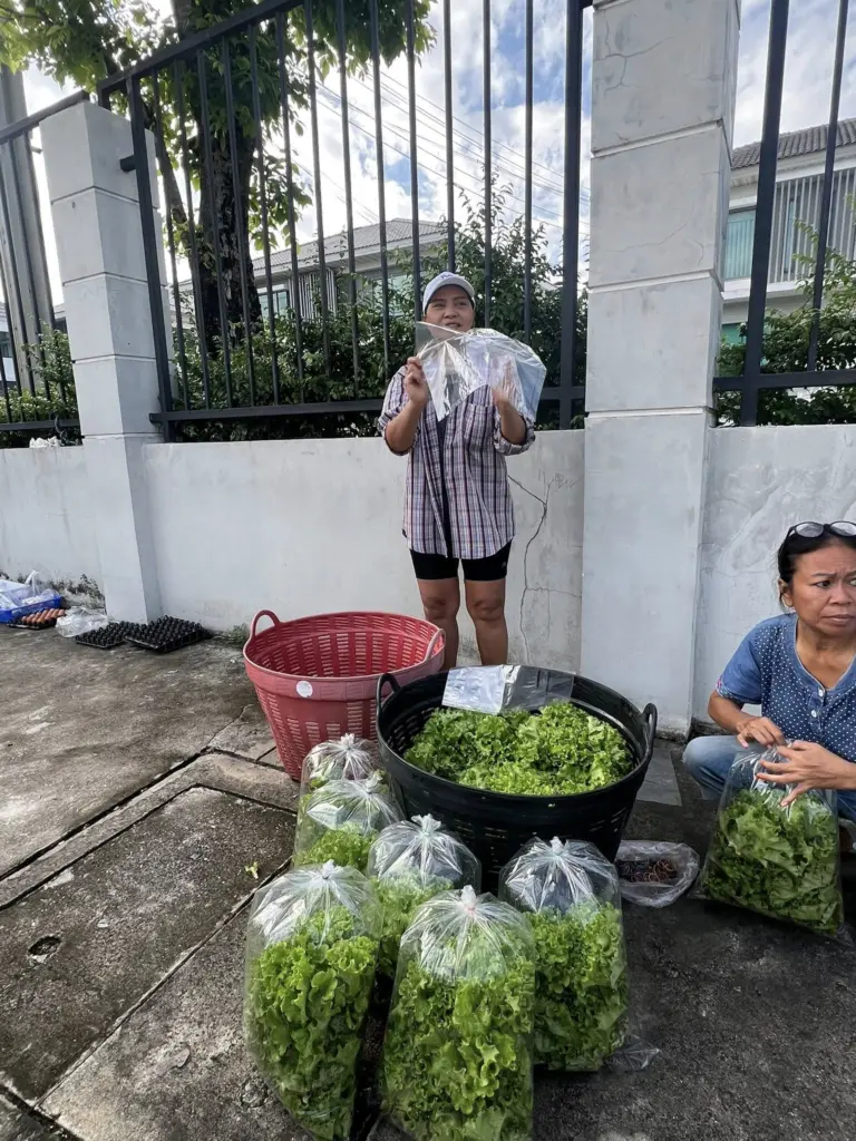 สุนารีขายผัก2