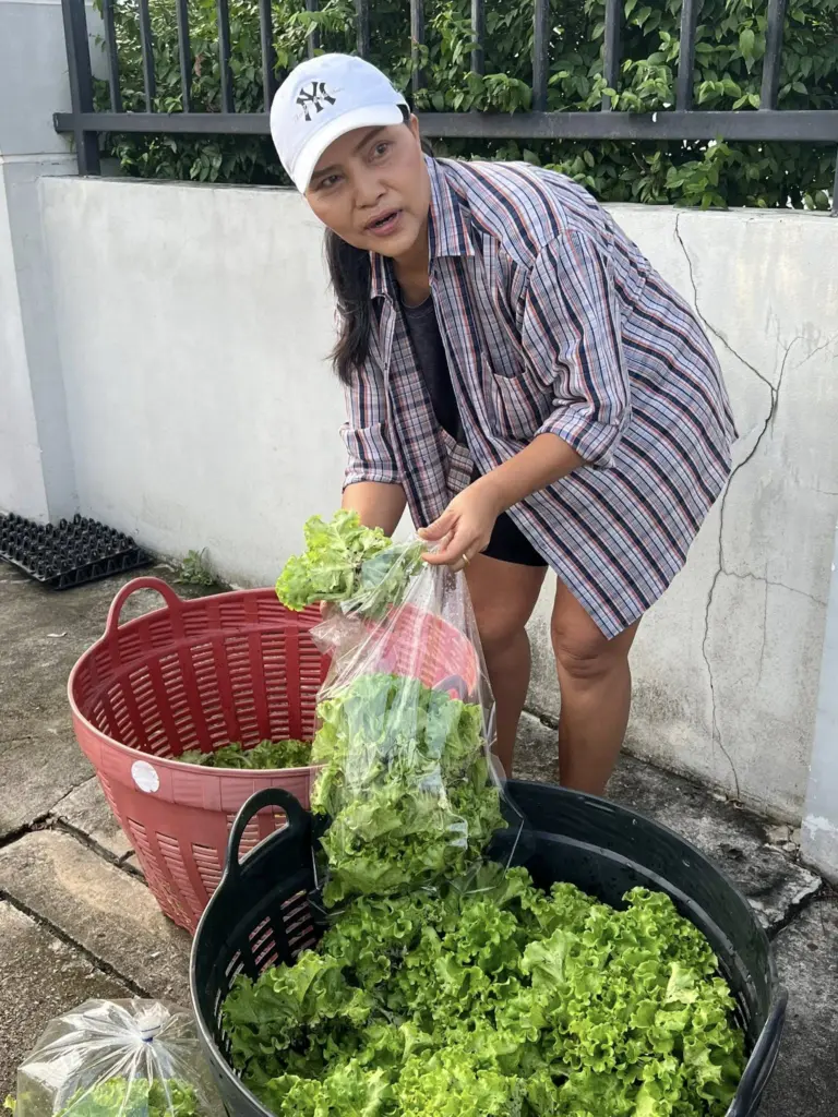 สุนารีขายผัก5