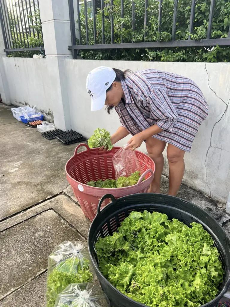 สุนารีขายผัก6