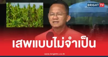 กัญชายาเสพติด