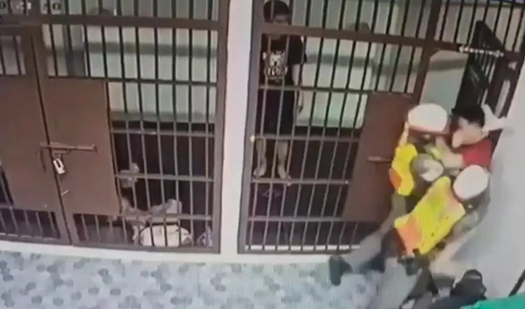 เมาต่อยตำรวจ