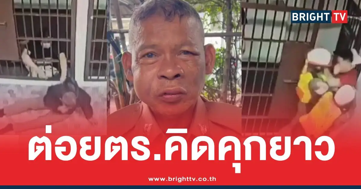 เมาหัวร้อนต่อยตำรวจ