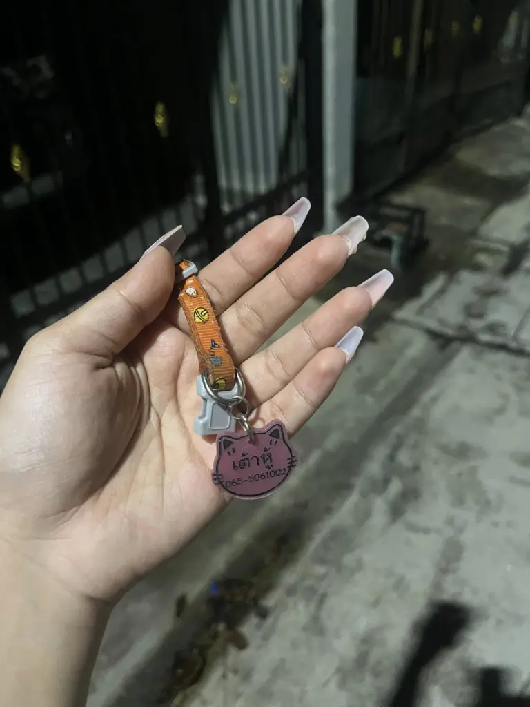 แมวหาย สุดท้าย เขมรย่างกิน แถมไถเงินแลกศพแมว