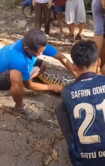 งูกินคน