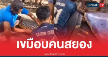 งูเหลือมกินลุง