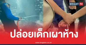 เด็กเผาห้าง