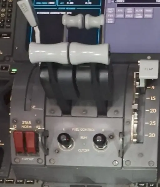 แอร์อินเดียสวิตช์