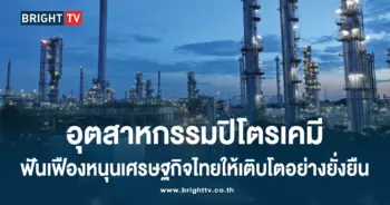 อุตสาหกรรมปิโตรเคมี