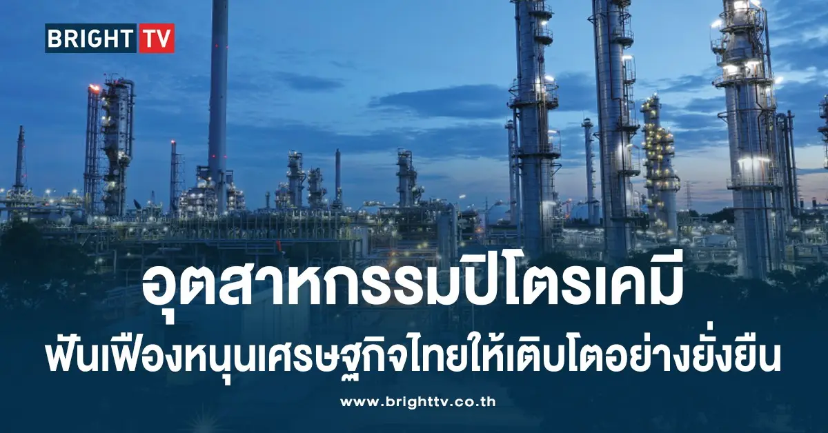 อุตสาหกรรมปิโตรเคมี