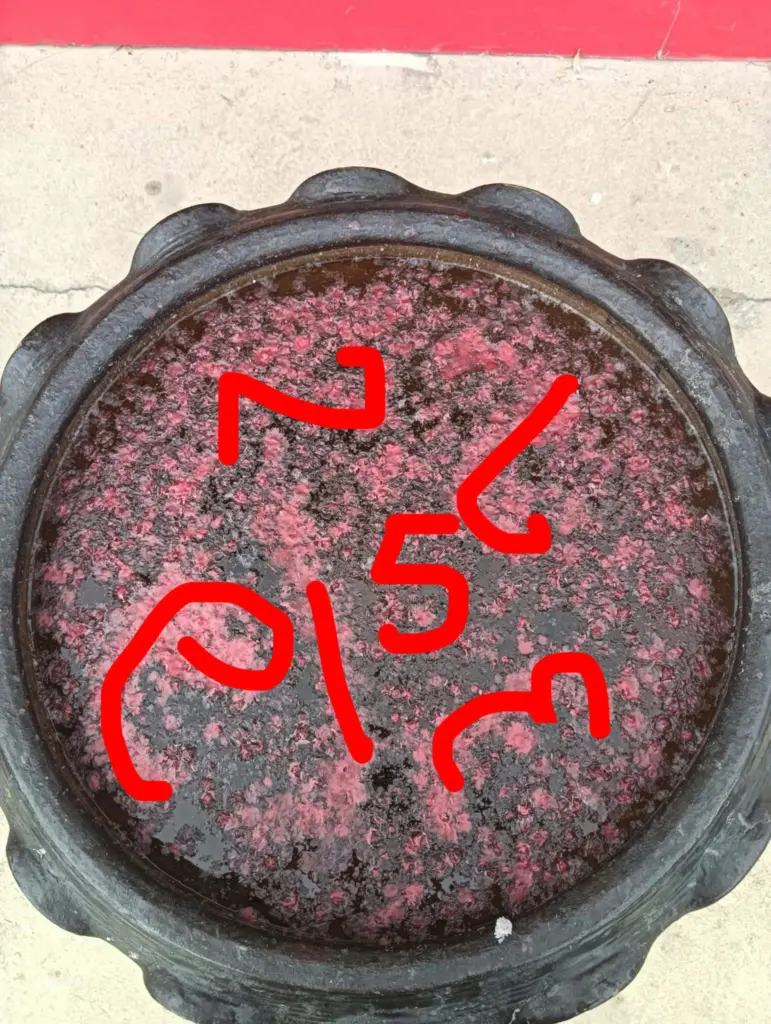 เลขเด็ดล่าสุด วัดไผ่แขก หวยวันพุธ 16 กรกฎาคม 2568