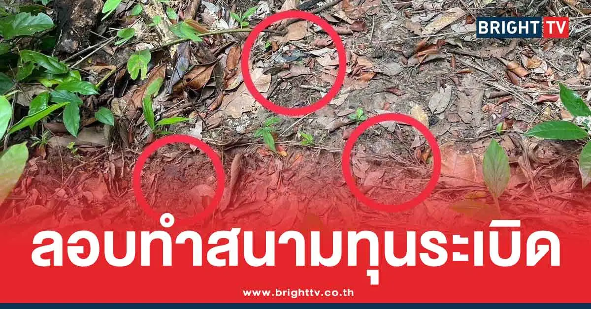 เปิดข้อมูล สนามทุนระเบิด