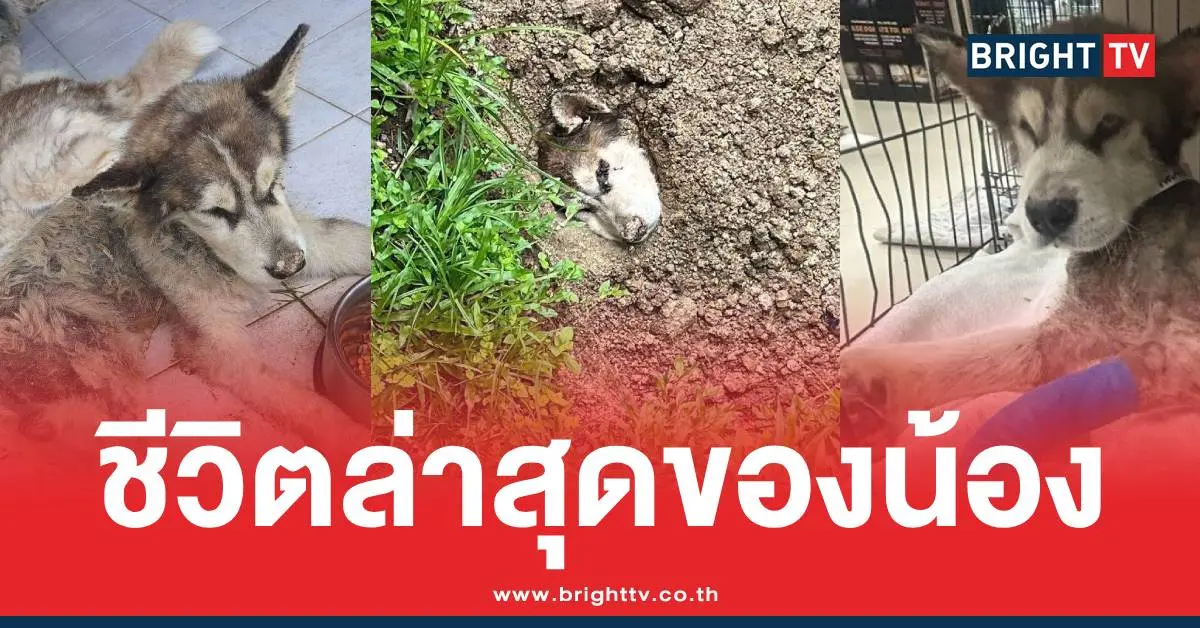 ฝังทั้งเป็นไซบีเรียน