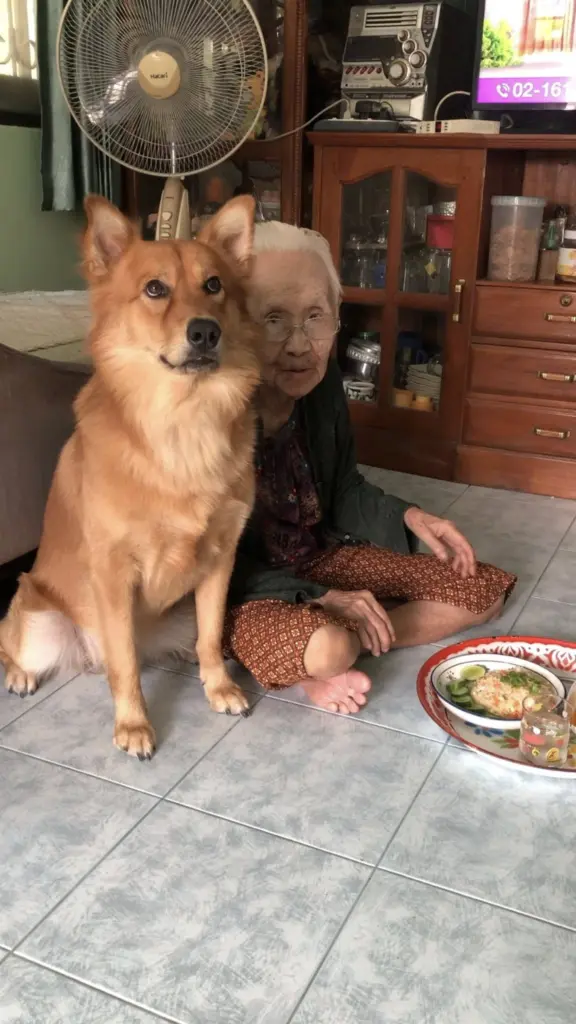 ลีโอไอหนูของยาย4