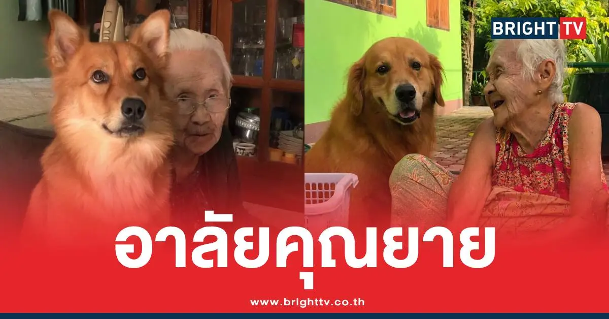 ลีโอไอ้หนูของยาย