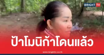 แจ้งความป้าโมนิก้า
