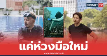 กวาง AB Normal