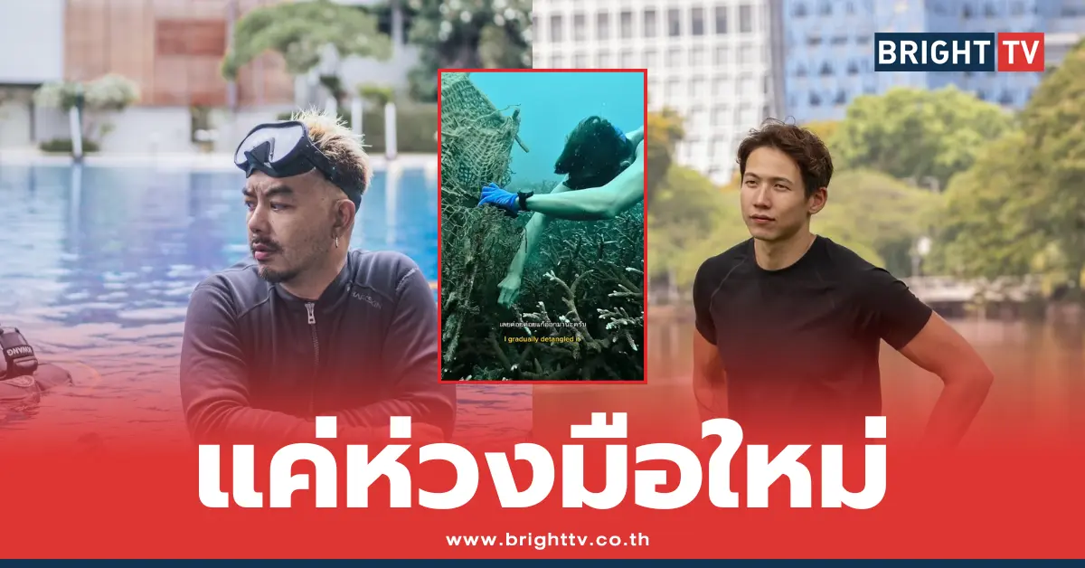 กวาง AB Normal