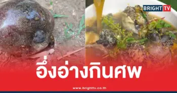 อึ่งอ่างกินศพ