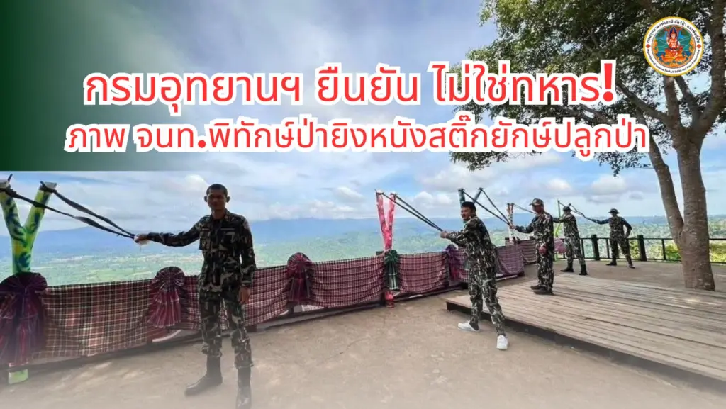 ปลูกป่า