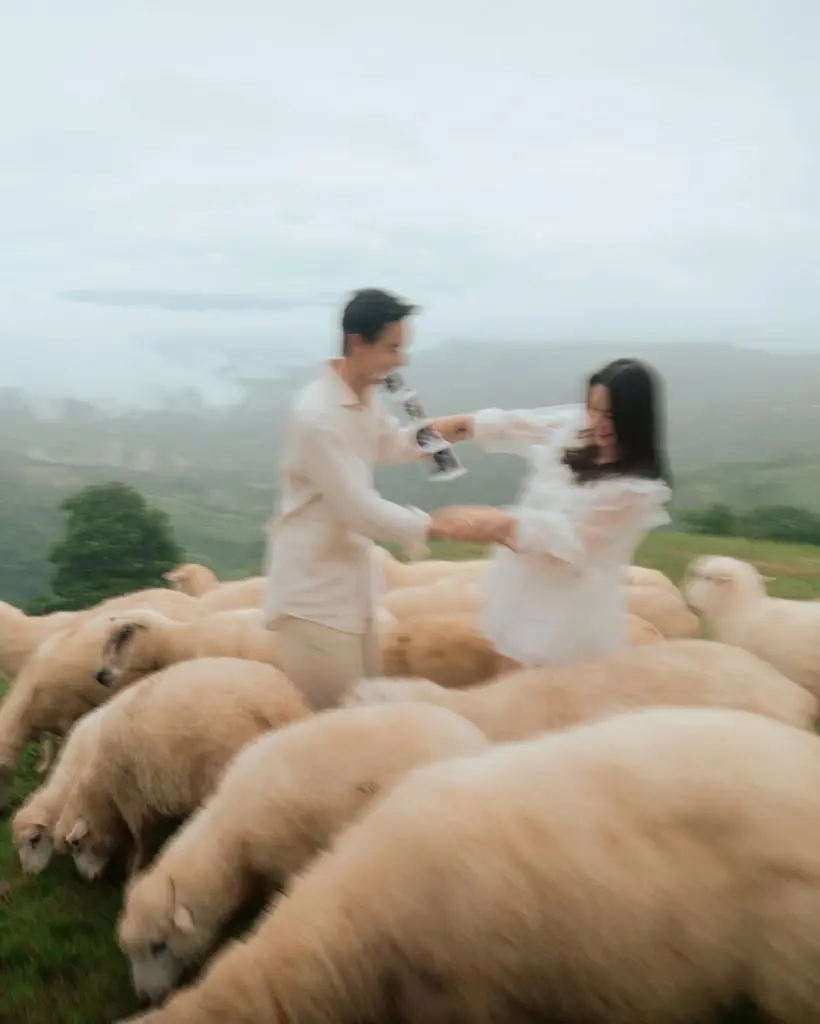 SaveClip.App 530902231 18520039705043859 8561909585639128853 n