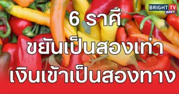 แซ่บ43