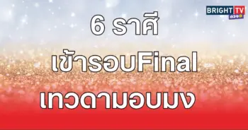แมว35