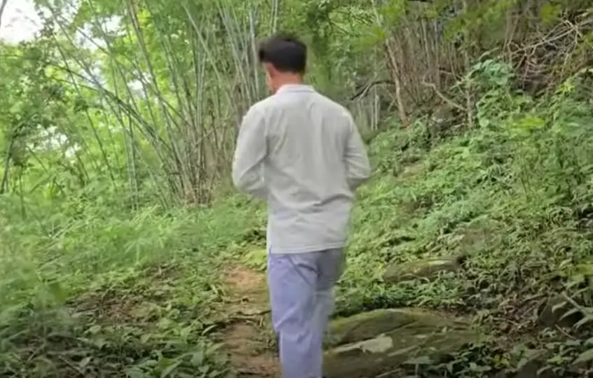 ลุงพลน้องชมพู่