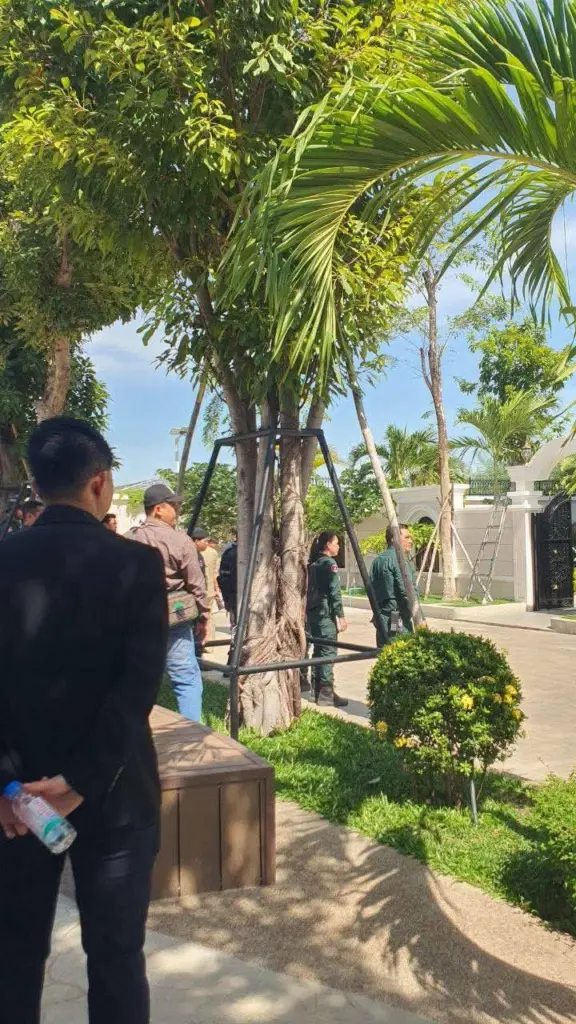 532066608 1291794516290089 3218678690293379739 n