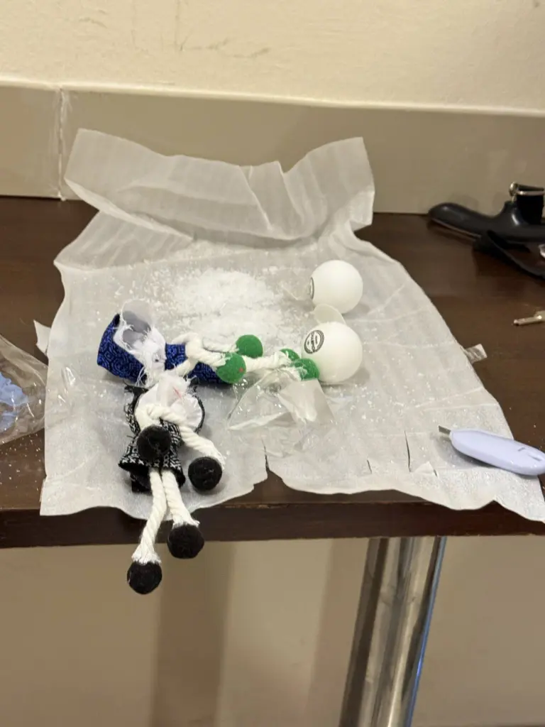 หิ้วของยาไอซ์1