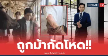 ป๋ฮ ณัฐวุฒิ