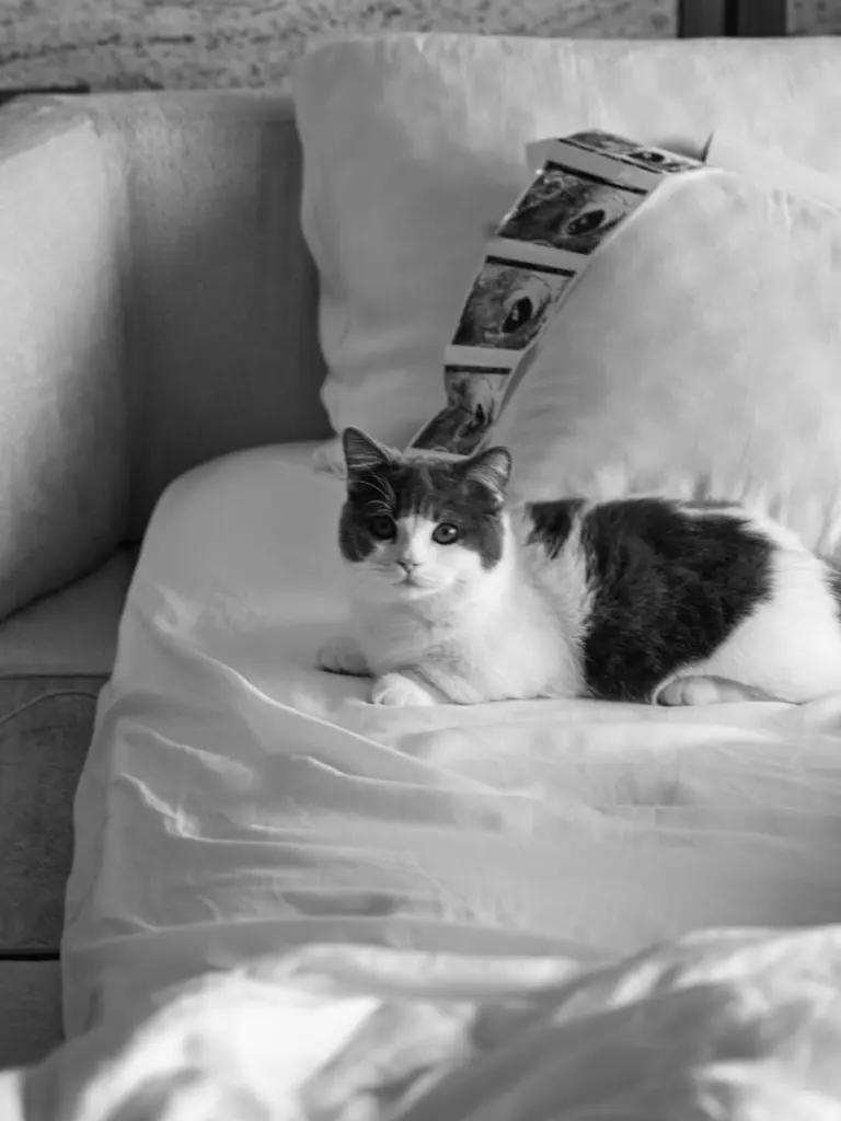 And the journey continues ❤️ (2)