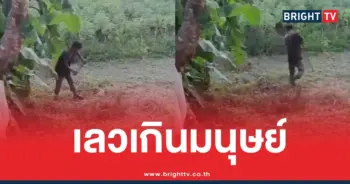 ทุบแมวท้องจนตาย