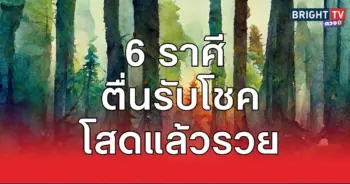 อวด11