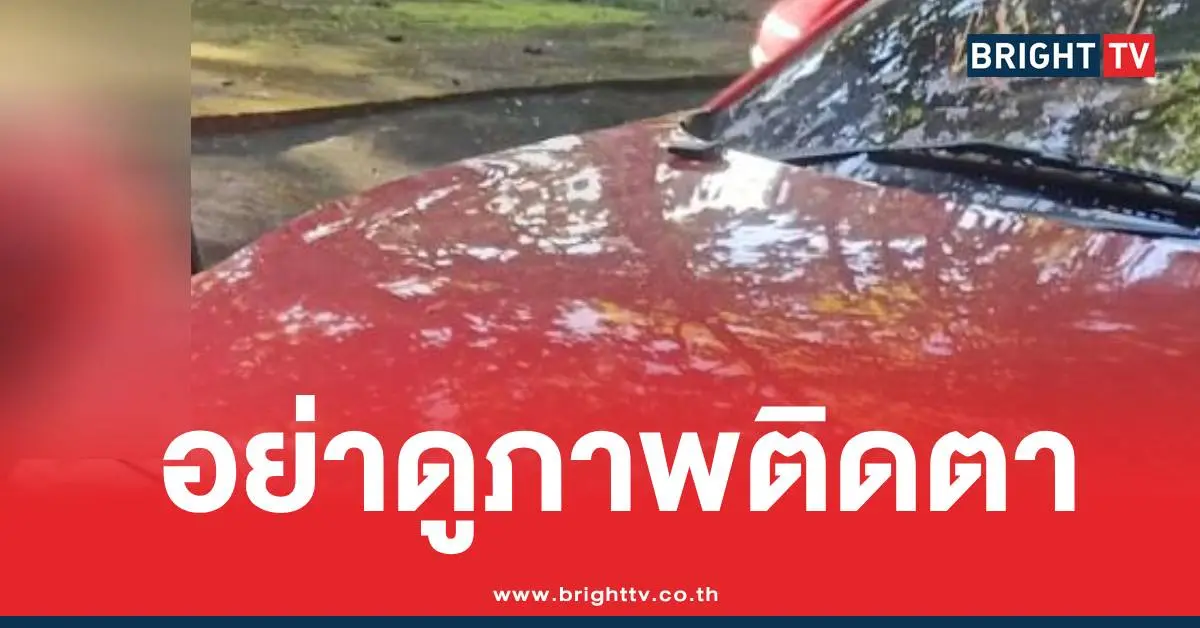 มุกดาหารภาพติดตา