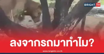 เจ้าหน้าที่สวนสัตว์ลงจากรถ