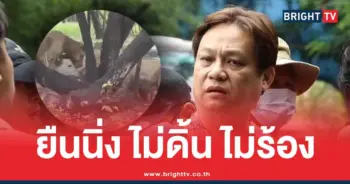 ปริศนาเจ้าหน้าที่ดูแลสิงโต