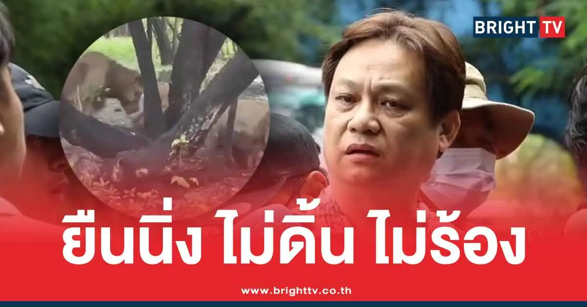 ปริศนาเจ้าหน้าที่ดูแลสิงโต