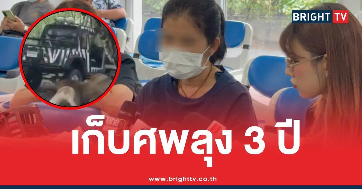 ลุงเจียนสิงโตขย้ำเก็บศพ