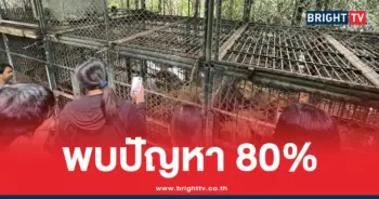 ผลตรวจสอบ Safari World