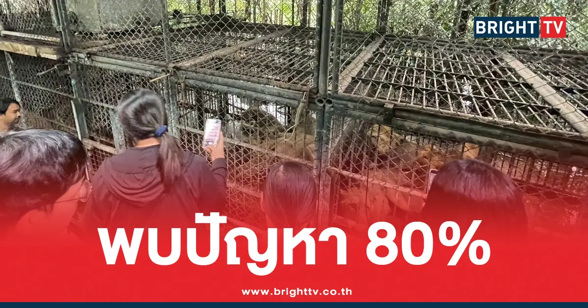 ผลตรวจสอบ Safari World