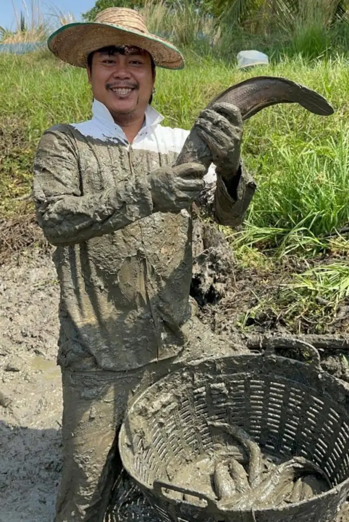 545884570 24649035914764624 3152447757009786426 n